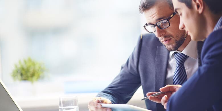 Language Consulting